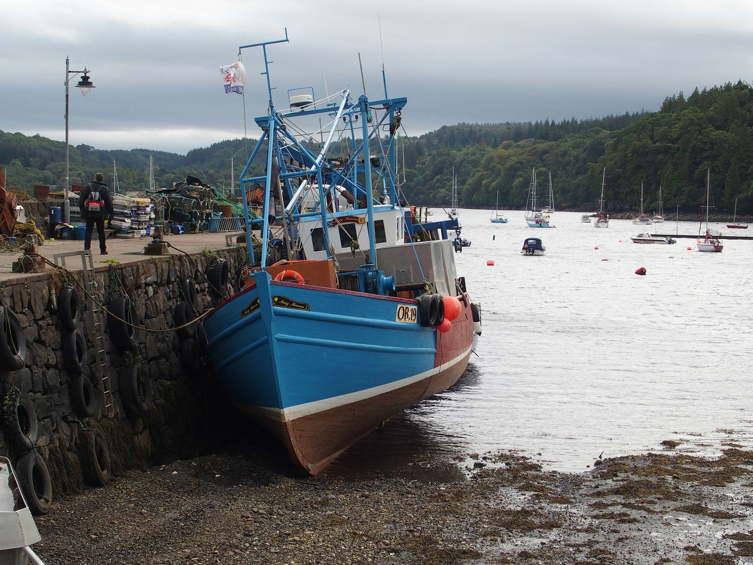 Tobermory halszhajk